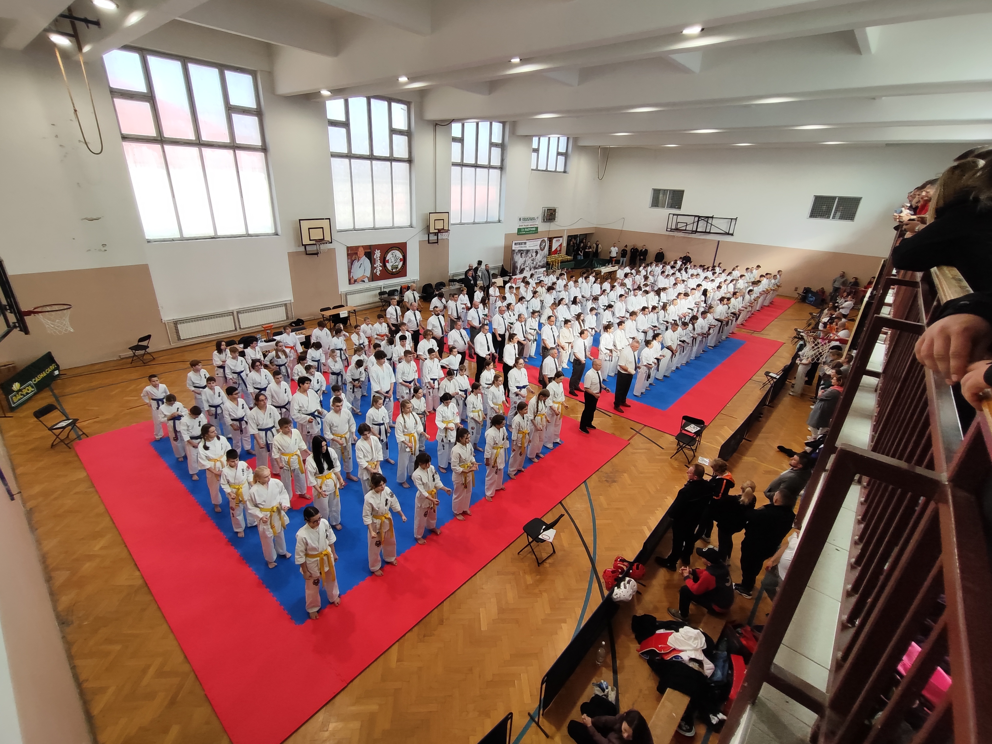 Mistrzostwa w Karate Kyokushin